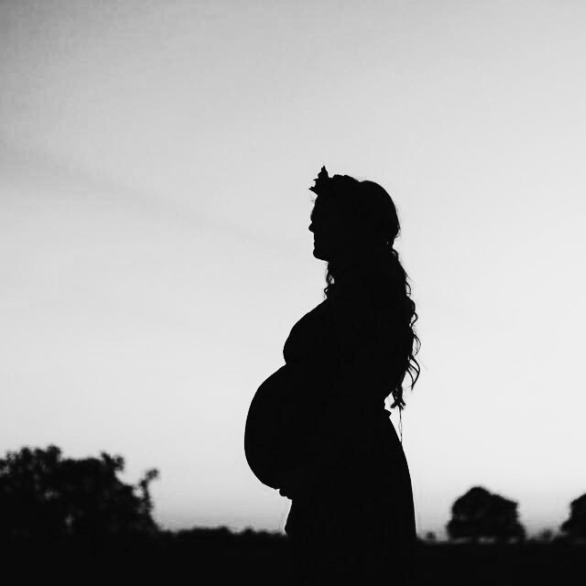 Untitled design (17)